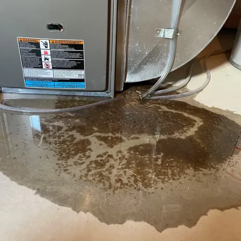 Appliance Leak Cleanup in Woodland Hills, UT